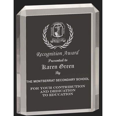 Standing Apart Acrylic Award M - 7 1/2'' H